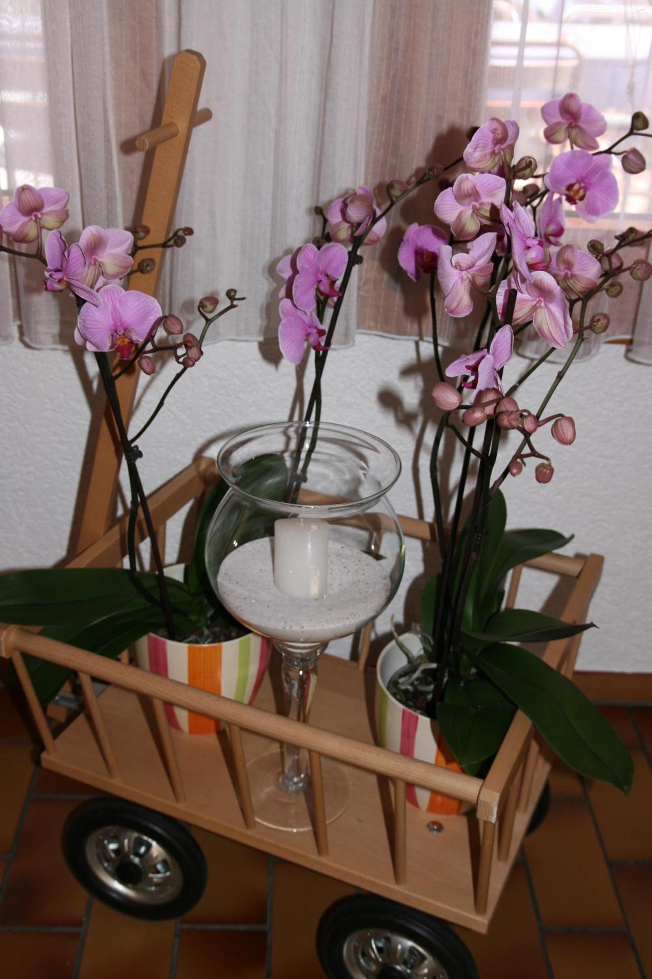 Hotel Glarnisch Hof 2*